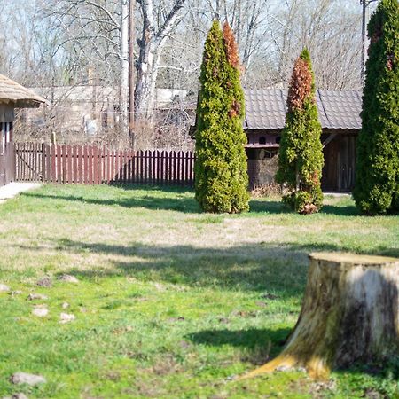 Villa Flora Kiskunmajsa Esterno foto