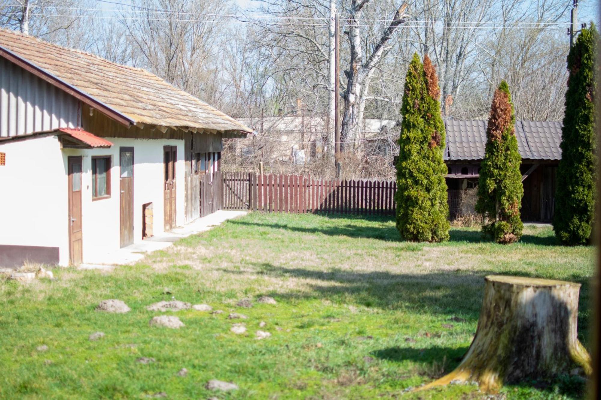 Villa Flora Kiskunmajsa Esterno foto