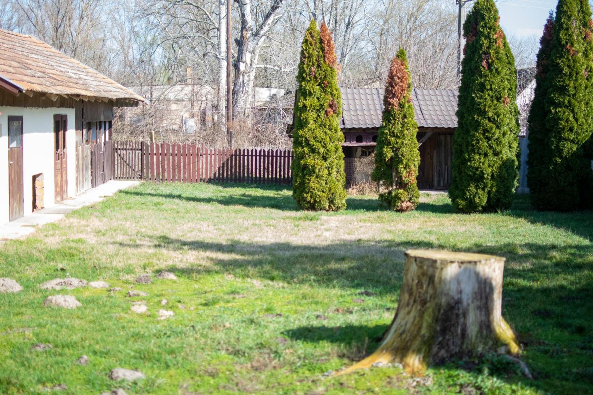 Villa Flora Kiskunmajsa Esterno foto